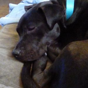 Meet your Posher, Mary